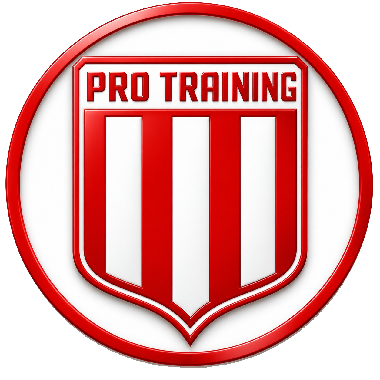 Logo Academia
